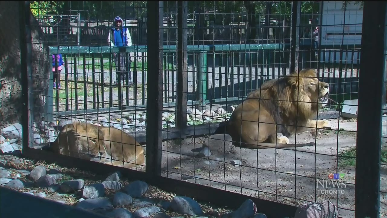 Bowmanville Zoo closes after controversy with owner