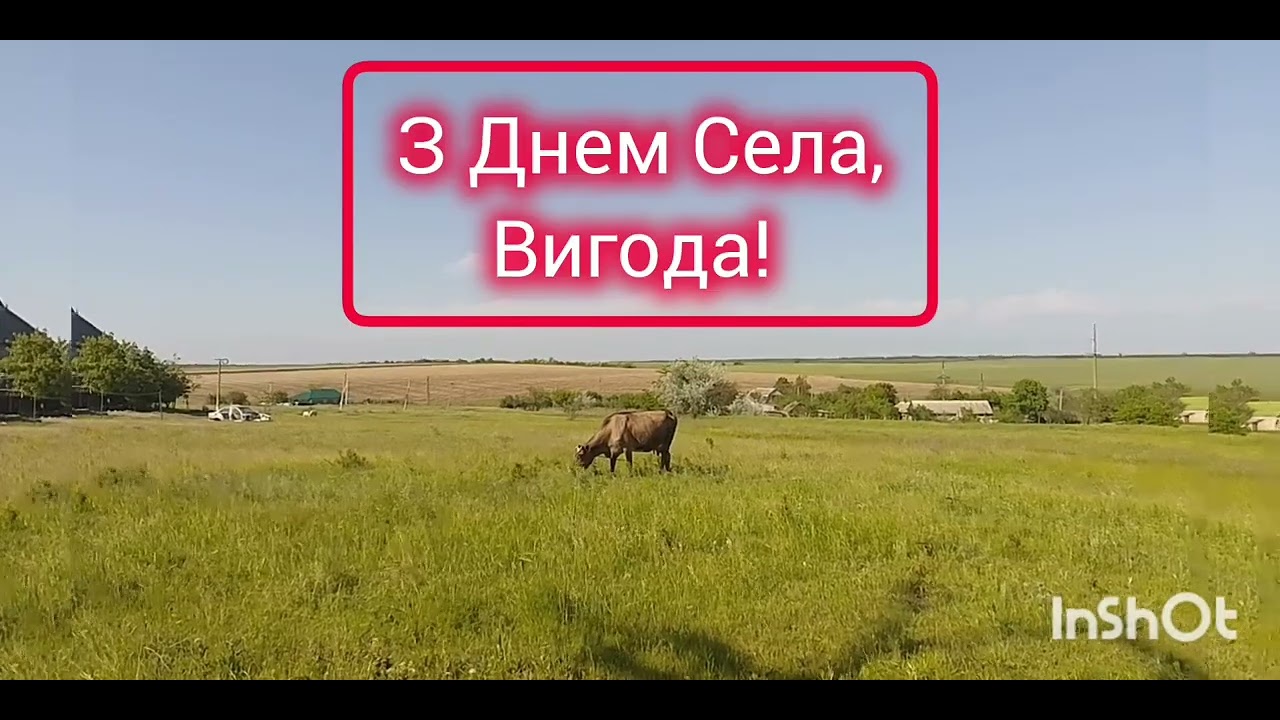 Жартівливий таночок до Дня Села 