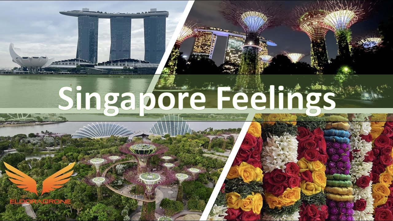 SINGAPORE FEELINGS