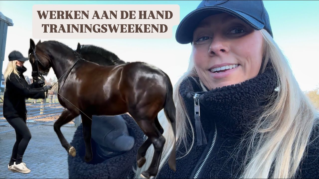 VERZAMELEN VANAF DE GROND - VLOG