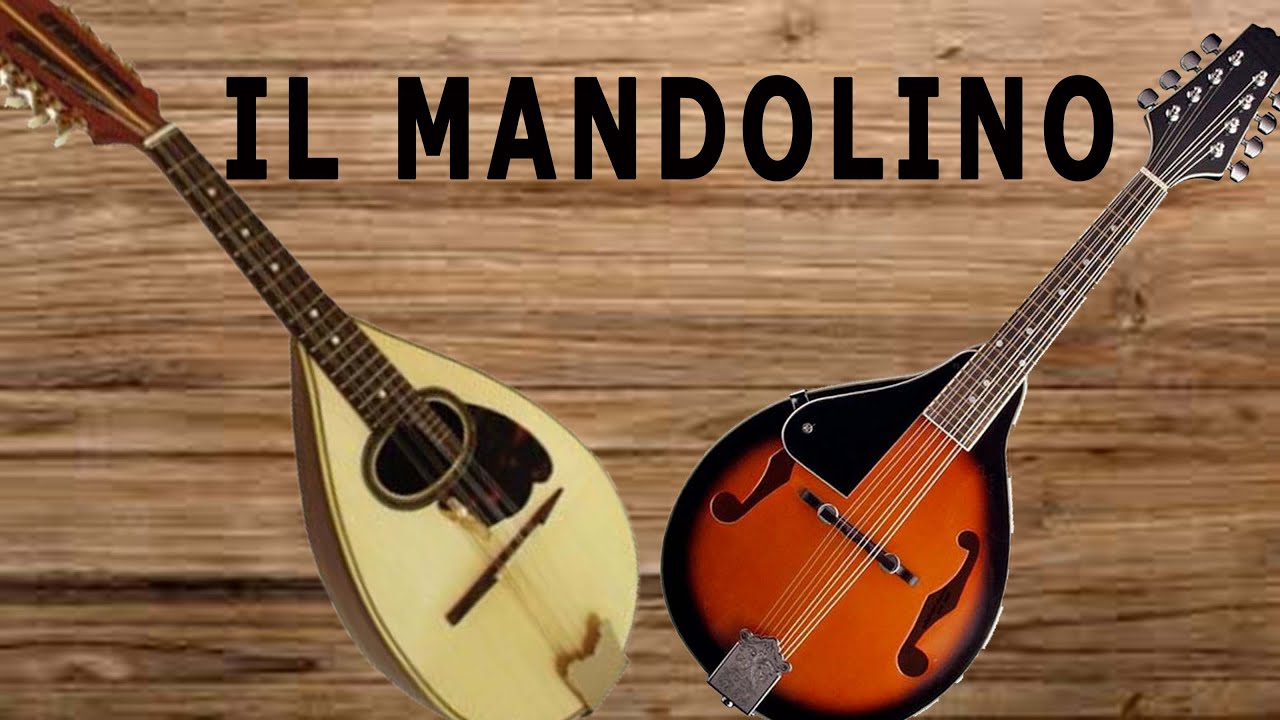 IL MANDOLINO