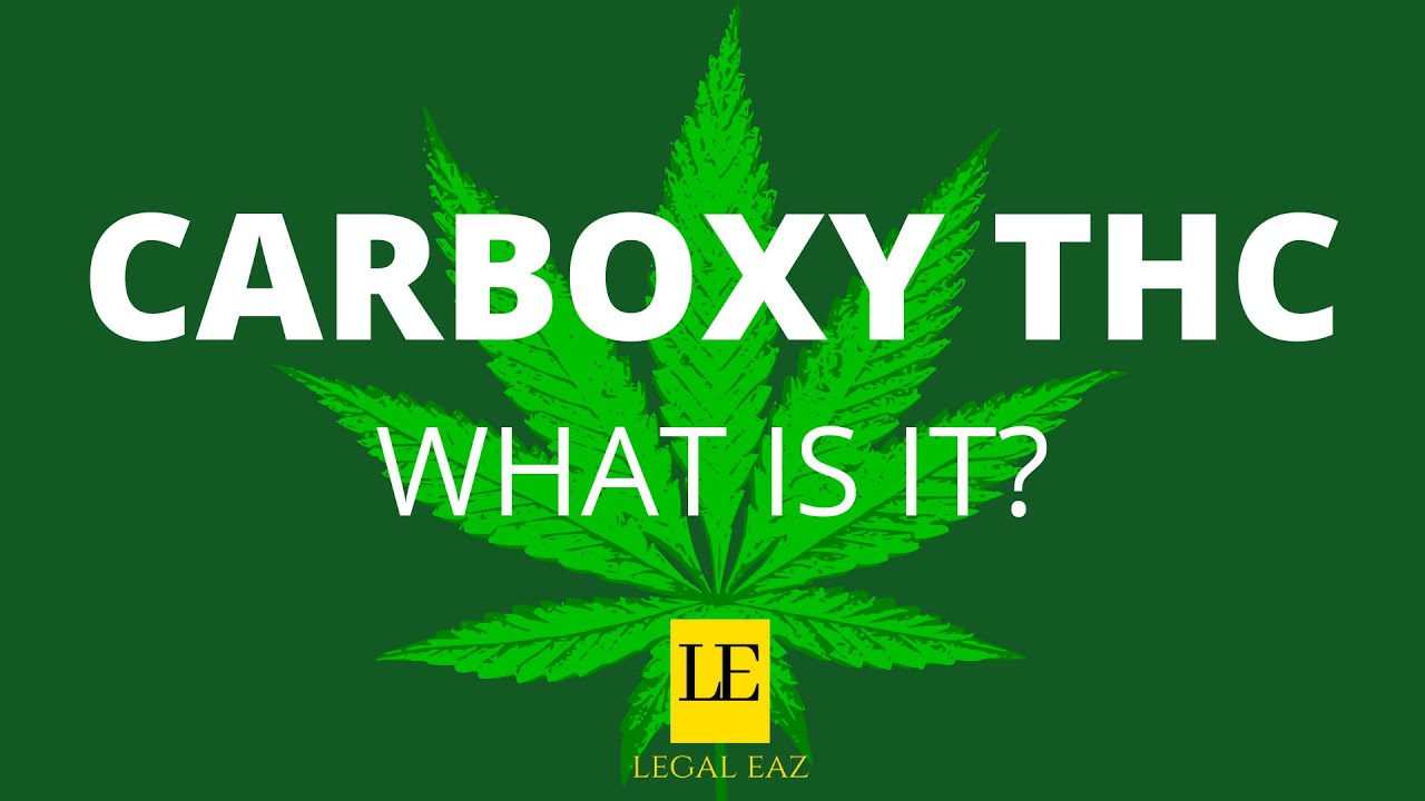 Carboxy THC - What is it?  One Minute Monday