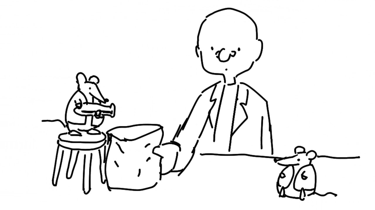 Dunkey's 