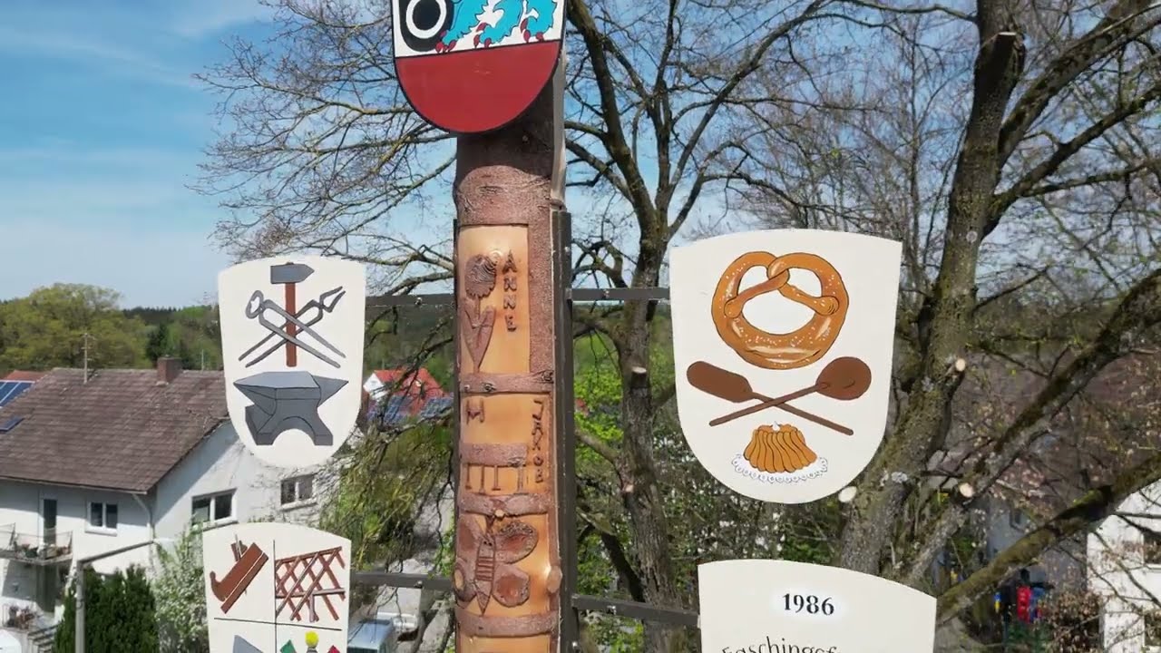 Freihalden Maibaum 2025