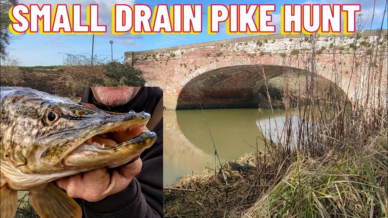 Pike fishing on the drains of Lincolnshire : Pike fishing UK