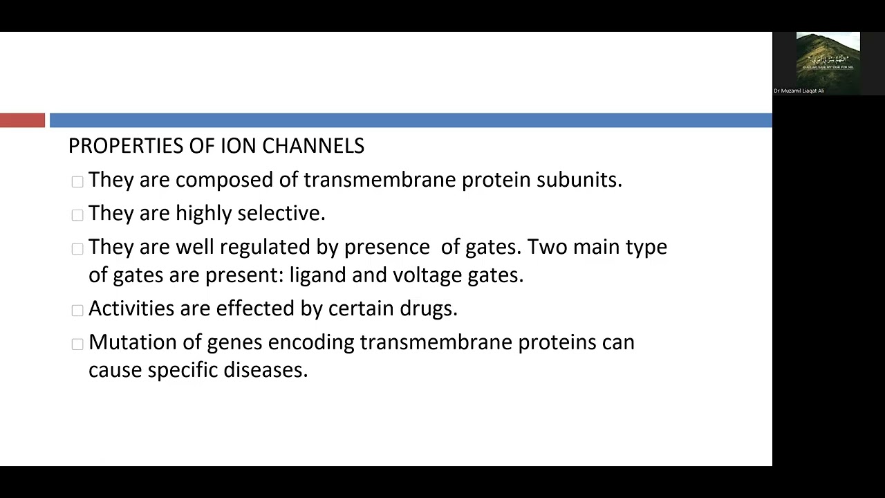 Cell Membrane   Part 2   Functions of Cell Membrane