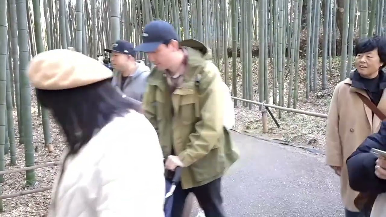【嵐山 竹林の小径】 松山慎也