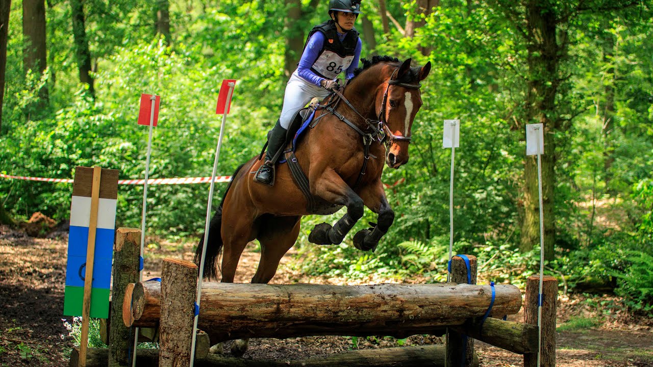 SGW Markelo Potdijk, klasse L paarden, 20-05-2024 *foutloos*