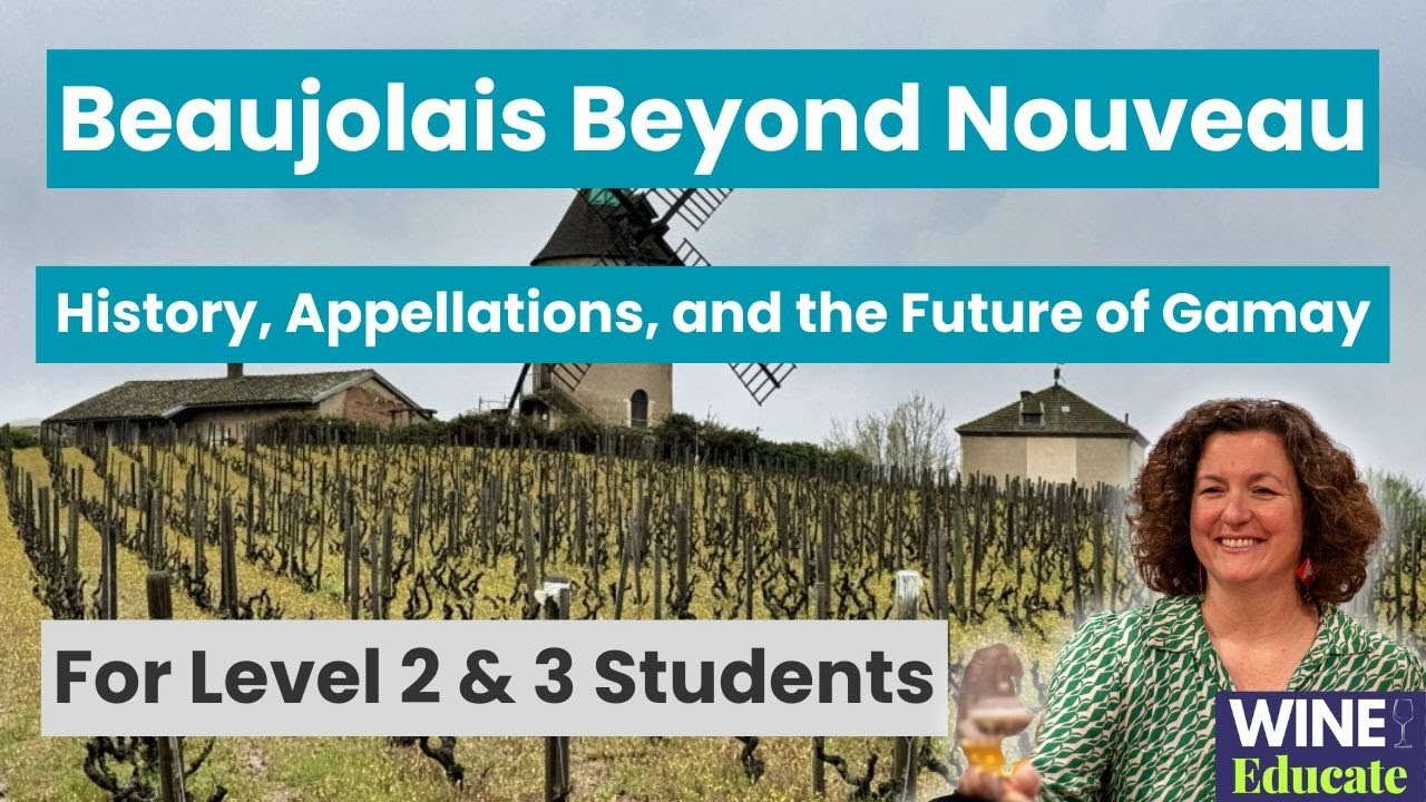 Beaujolais Explained: History, Appellations & The Future of Gamay | Wine Educate Podcast Ep. 87