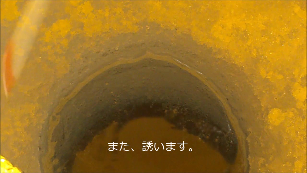 わかさぎの誘いと魚信