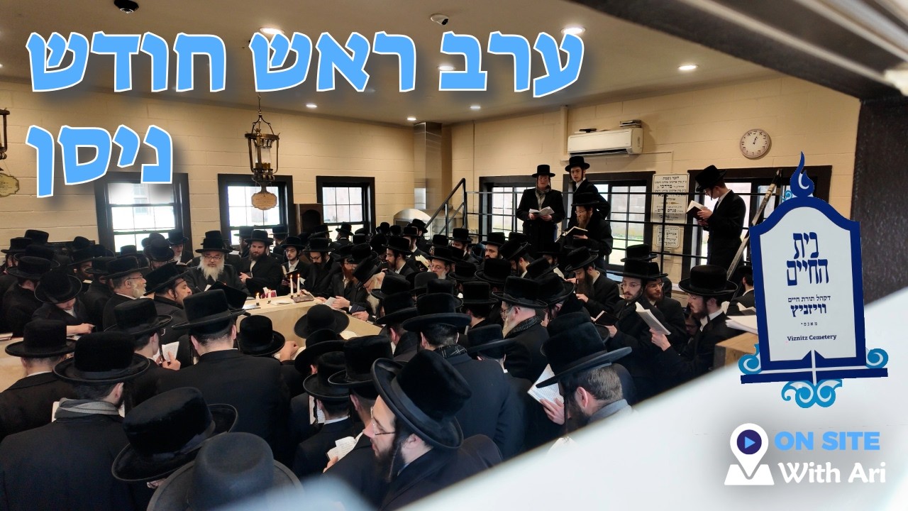 Viznitzer Rebbe ZT”L Yahrtzeit #onsitewithari | Yiddish