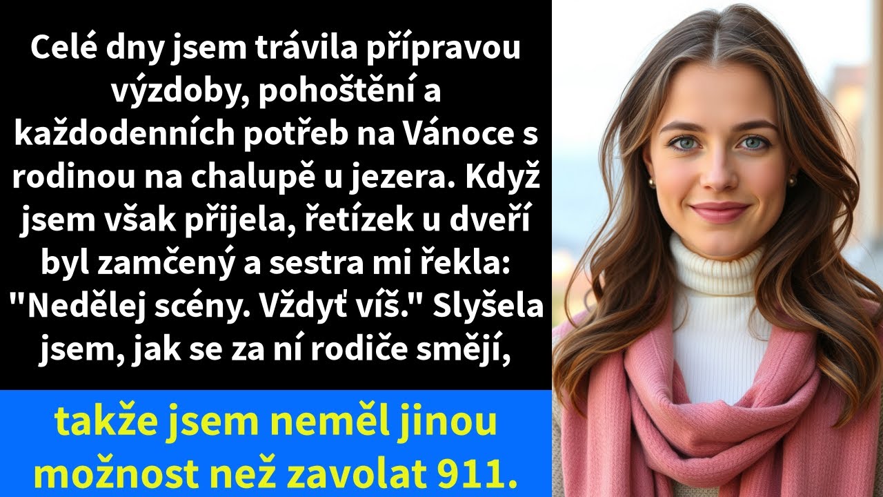 Celé dny jsem trávila přípravou výzdoby, pohoštění a každodenních potřeb na Vánoce s rodinou na