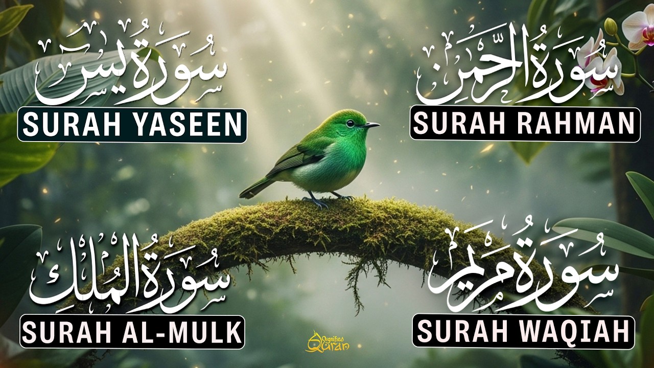 Magical Recitation Surah Yaseen | Surah Rahman | Surah Waqiah | Surah Mulk | Muhammad Hijazi | EP01