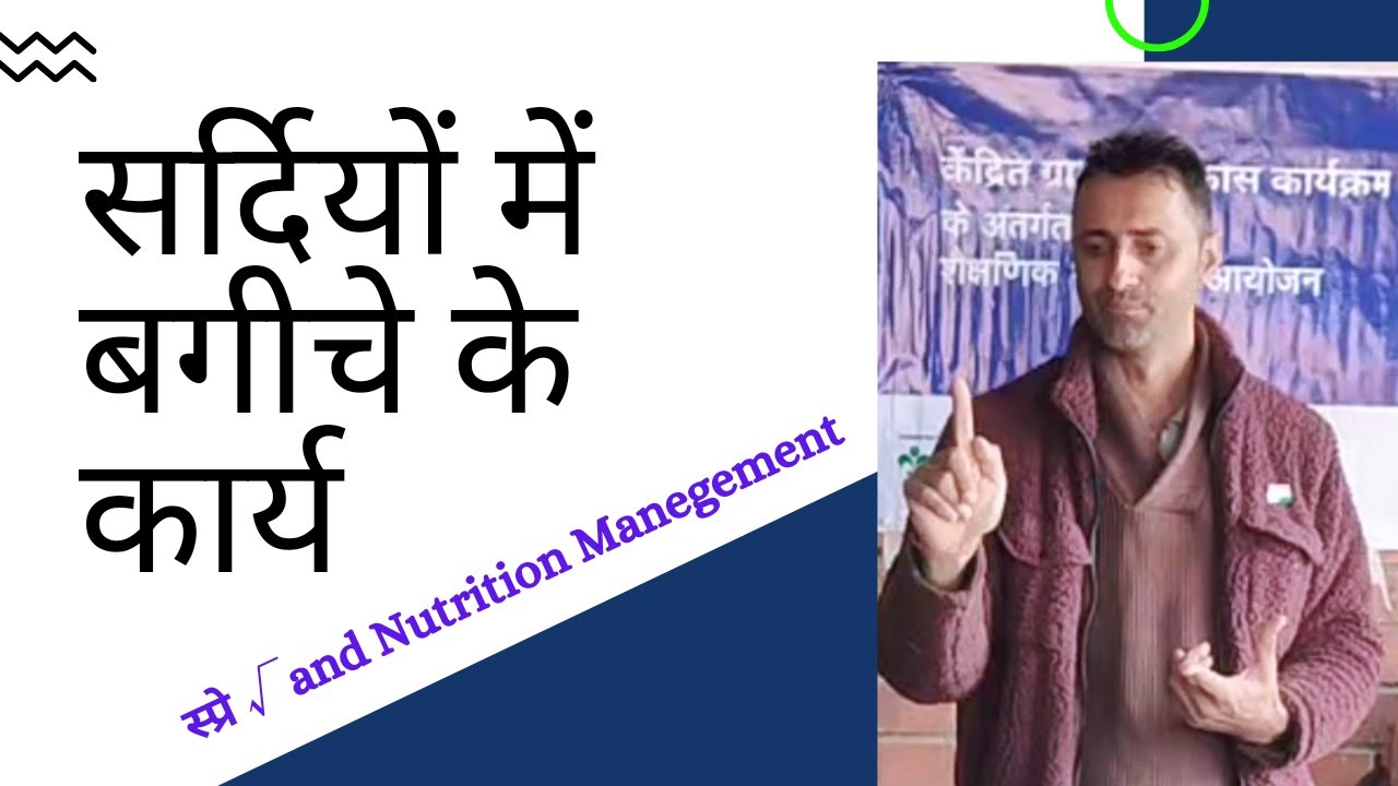 Winter Spray and Nutrition  Management apple orchord Talk about dimplepanjta ji