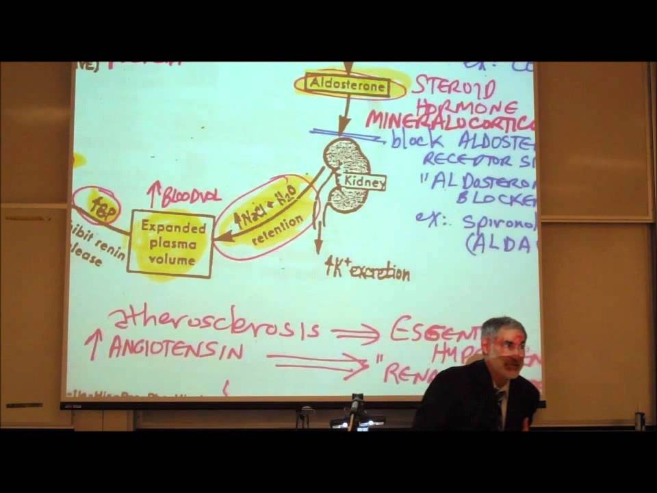CARDIOVASCULAR DRUGS; ANTI HYPERTENSIVE DRUGS by Professor Fink