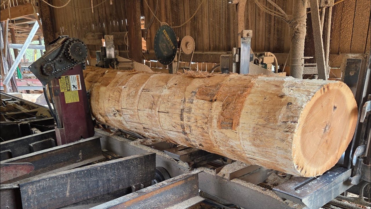 Sawing 5 decent 10ft poplar logs #242