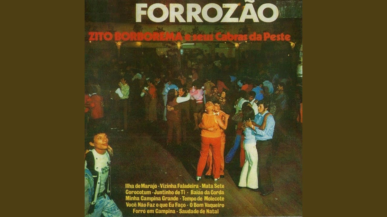 Vizinha Faladeira
