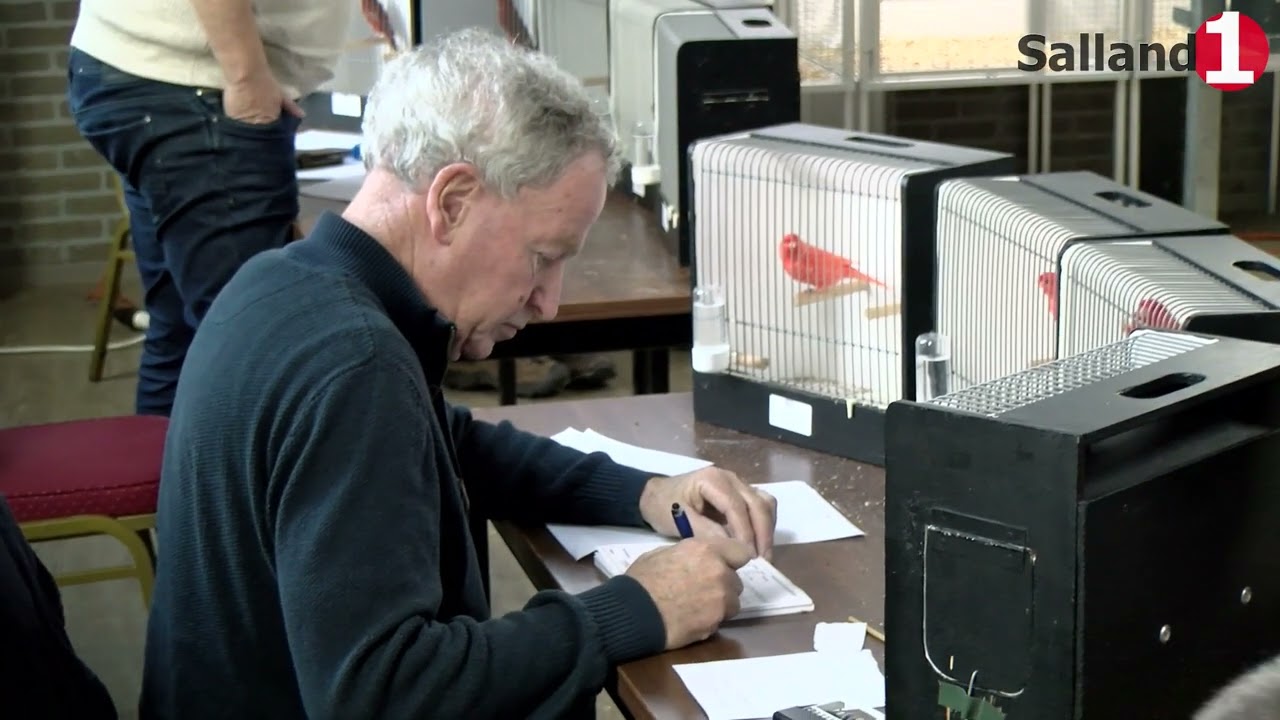 Vogelkeuring in Nieuw Heeten: “Er zijn hier 401 verschillende vogels.”
