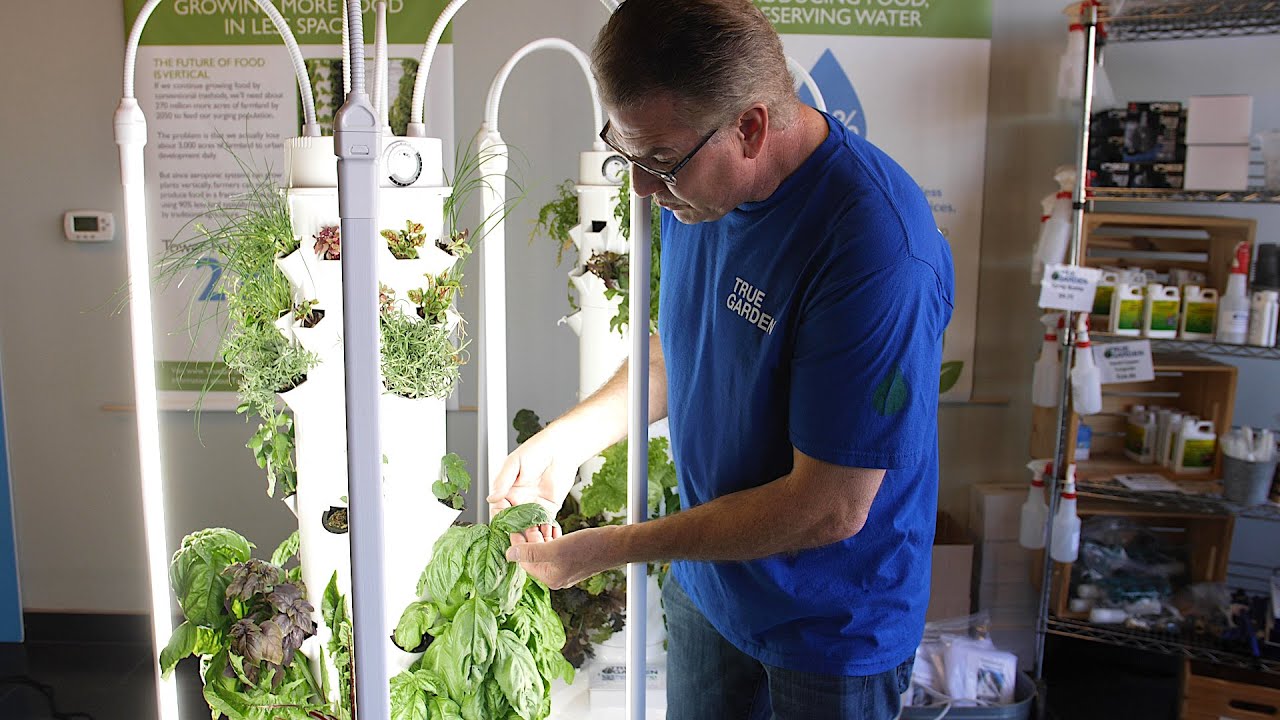 Save Your Tower Garden from Bugs Insects and Pests | True Garden