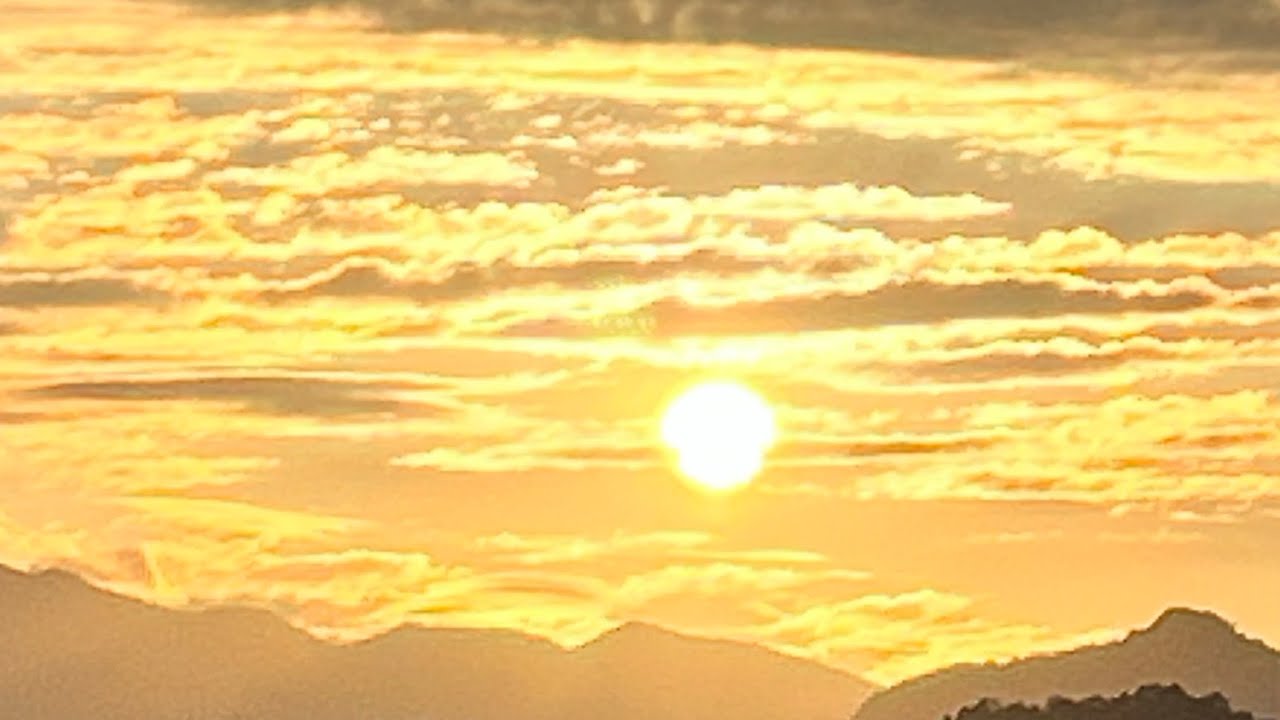 Beans boy3 is live! Yeah!!! sunrise is here?? 