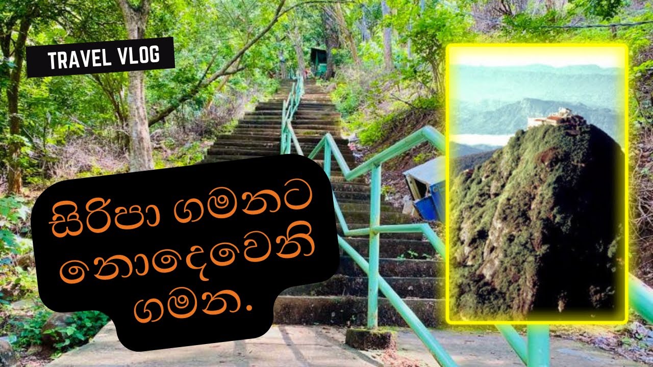 Wadasiti Kanda | කැලේ පාරෙන් කන්ද උඩට - කතරගම වැඩසිටි කන්ද #katharagama
