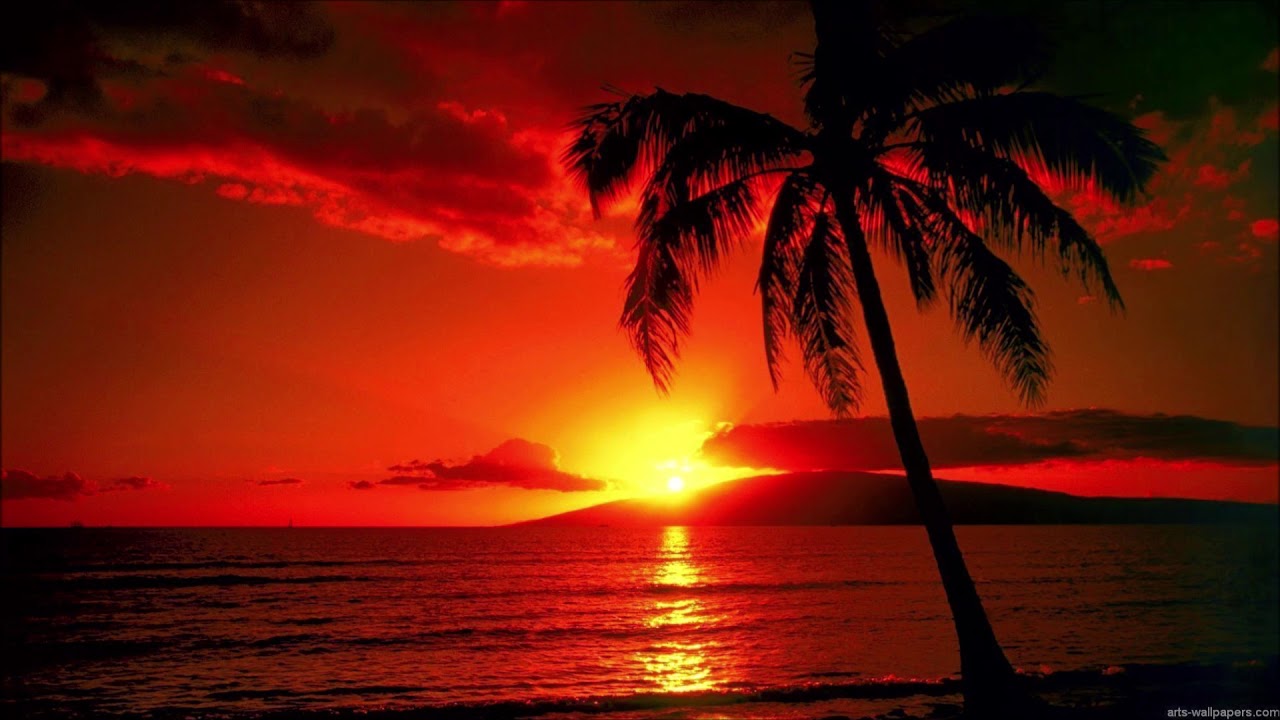 The Blue Lagoon Love Theme by B. Poledouris on Piano played by Arthur Karapetov