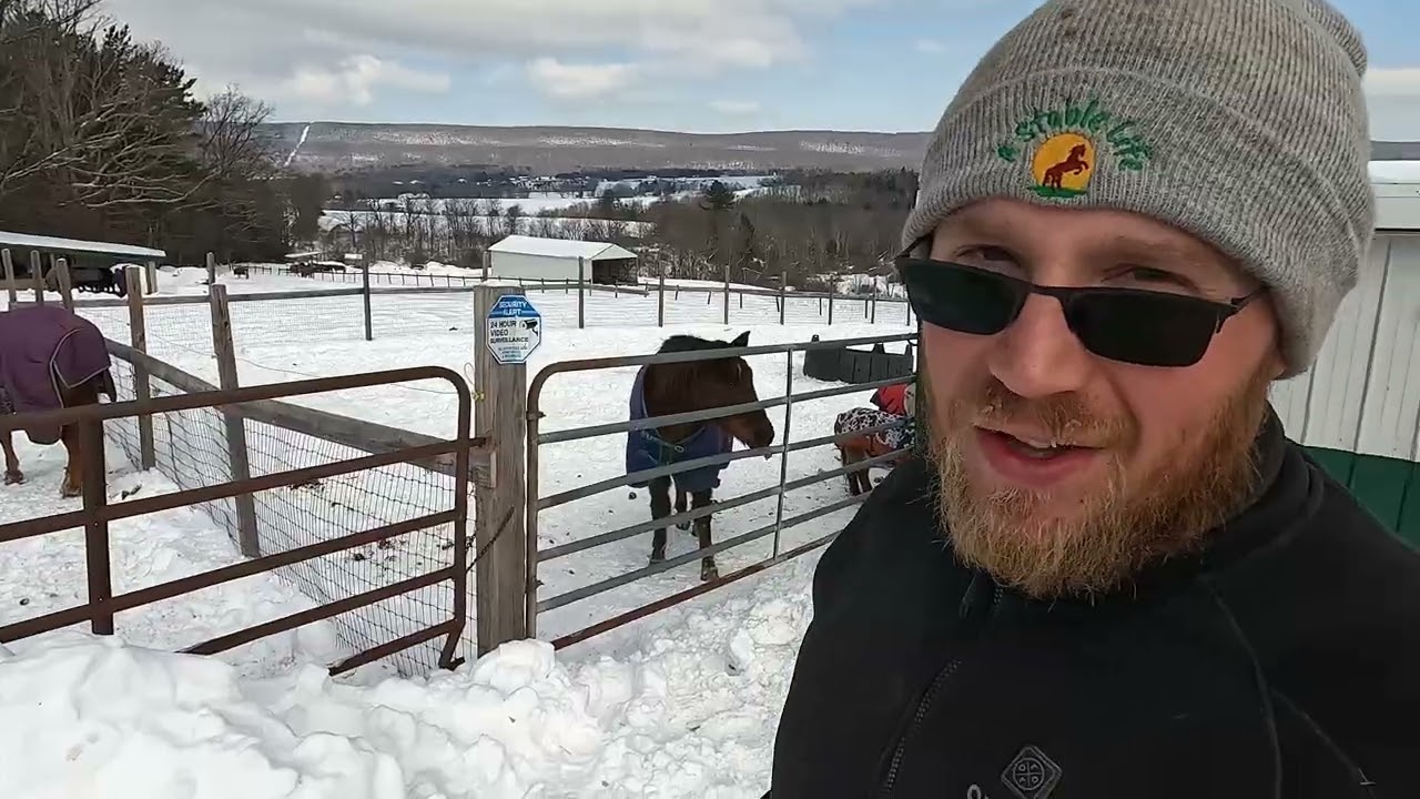 RECORD COLD & RECORD SNOW - THE STABLE DOESN'T STOP