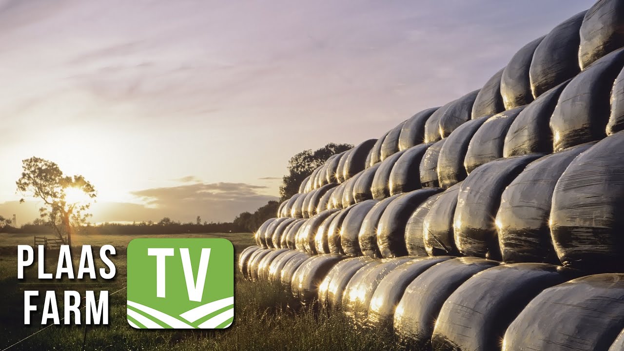 Pannar partners with farmers for their future