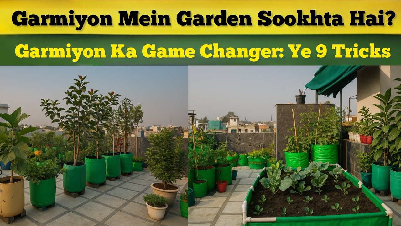 Green Garden in Summer? 9 Ways | #aasanbagwani #summer 