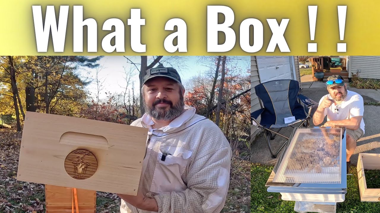 New Premier Bee Products & Lyson Products in the Apiary !