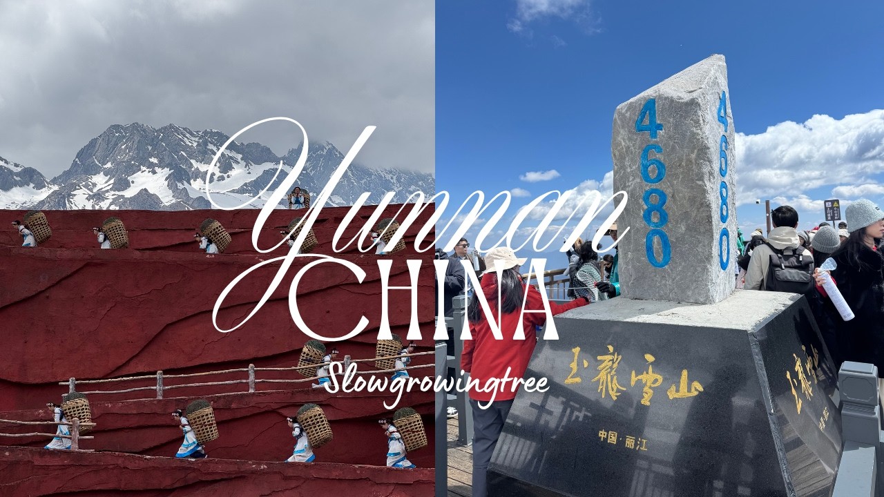 Jade Dragon Snow Mountain Travel Guide 🚠 | Lijiang Old Town | Yunnan VLOG Ep  6