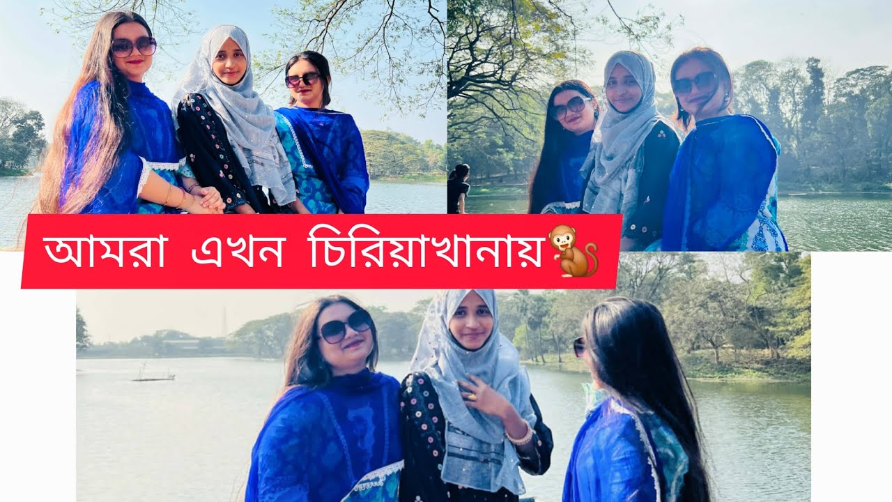 আমরা সবাই মিরপুর চিড়িয়াখানায় কী কী করলাম...?😊😇