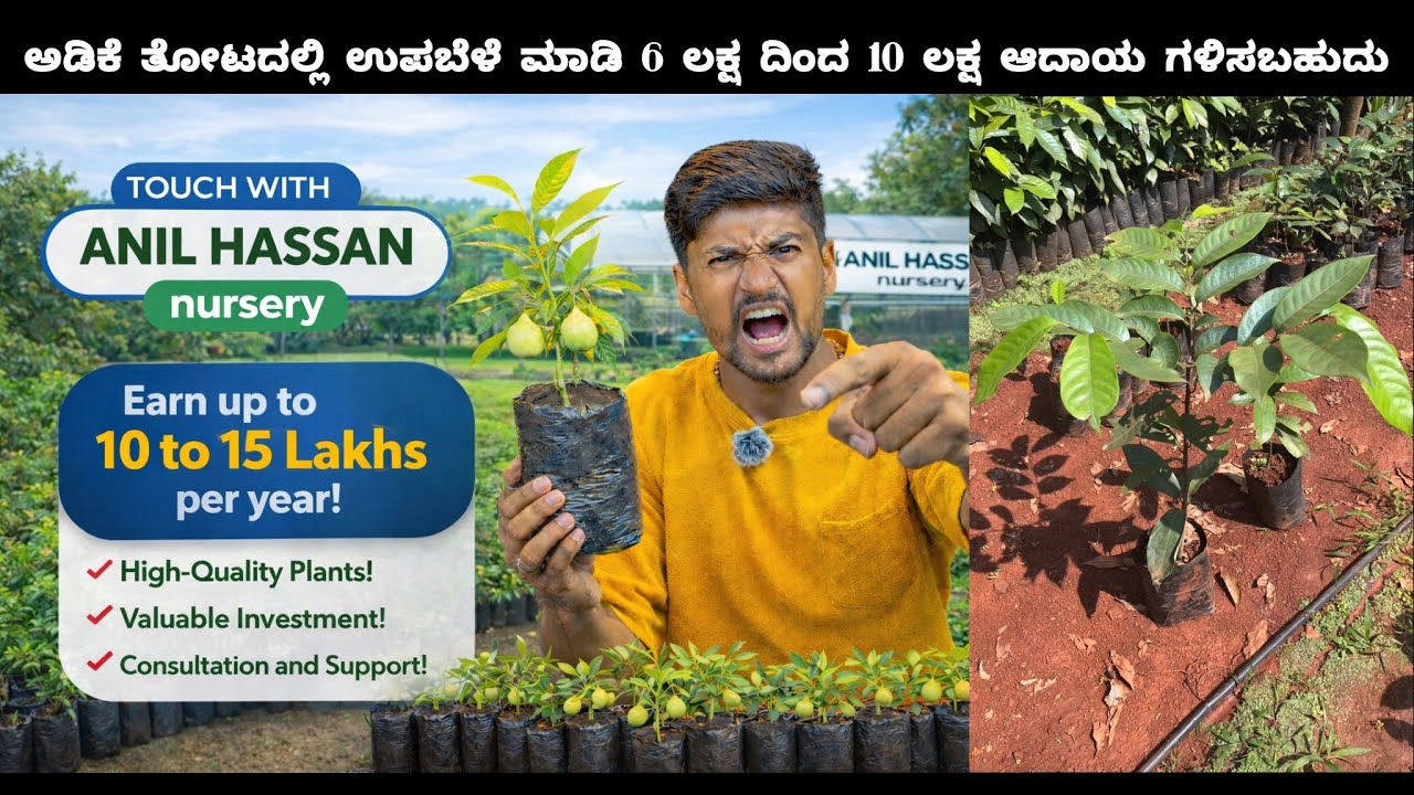 “ಜಾಯಿಕಾಯಿ ಬೆಳೆದು ಲಕ್ಷಗಳ ಲಾಭ 💰 | ಸಂಪೂರ್ಣ ಕೃಷಿ ಮಾರ್ಗದರ್ಶಿ ಕನ್ನಡದಲ್ಲಿ!” @Touchwithanil 