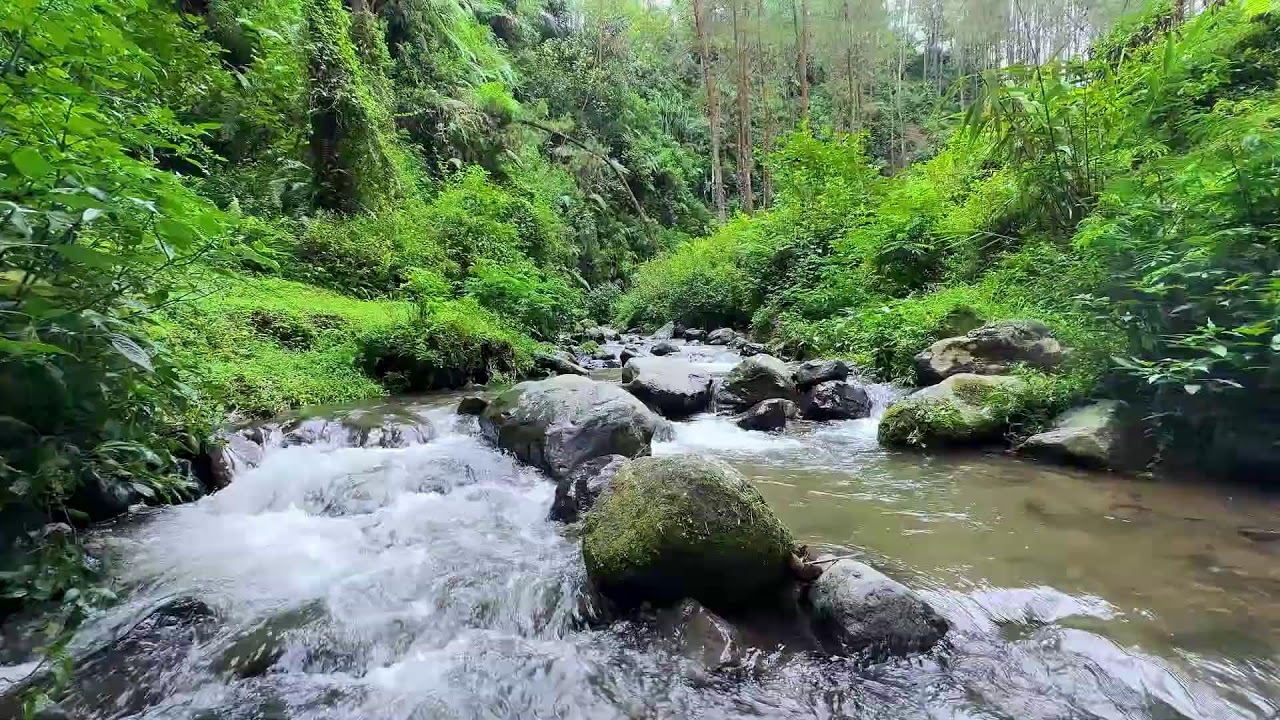 Peaceful river relaxation under moonlit forest sky helping calm thoughts for deep sleep breathing sm