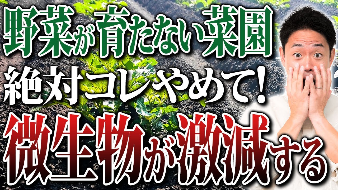 家庭菜園で失敗する人の9割がやってる“微生物を減らす行為”【家庭菜園 ガーデニング 土づくり カルス 微生物】
