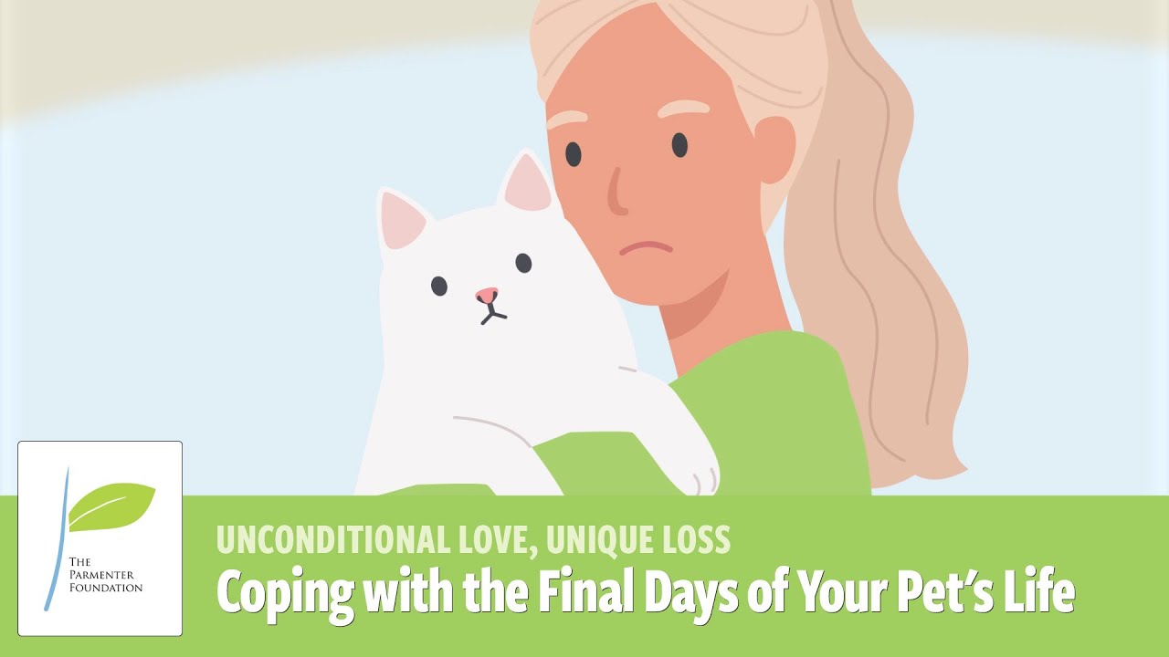 Coping with the Final Days of Your Pet's Life