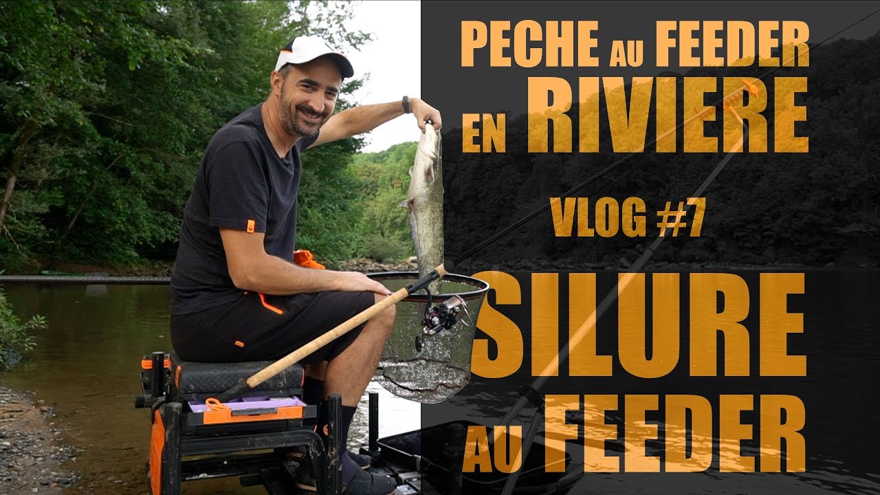 Pêche au feeder en rivière : J'attrape un silure au feeder!!