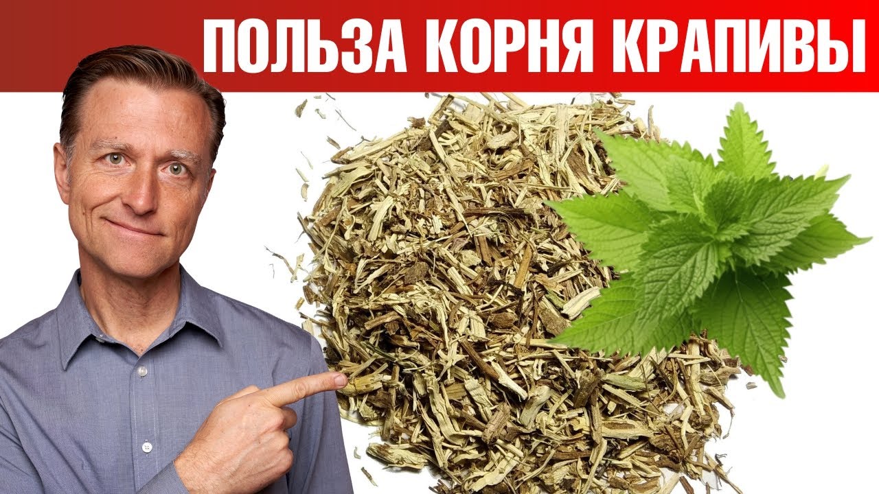 Корень жгучей крапивы &ndash; суперсредство от артрита и не только!🔥