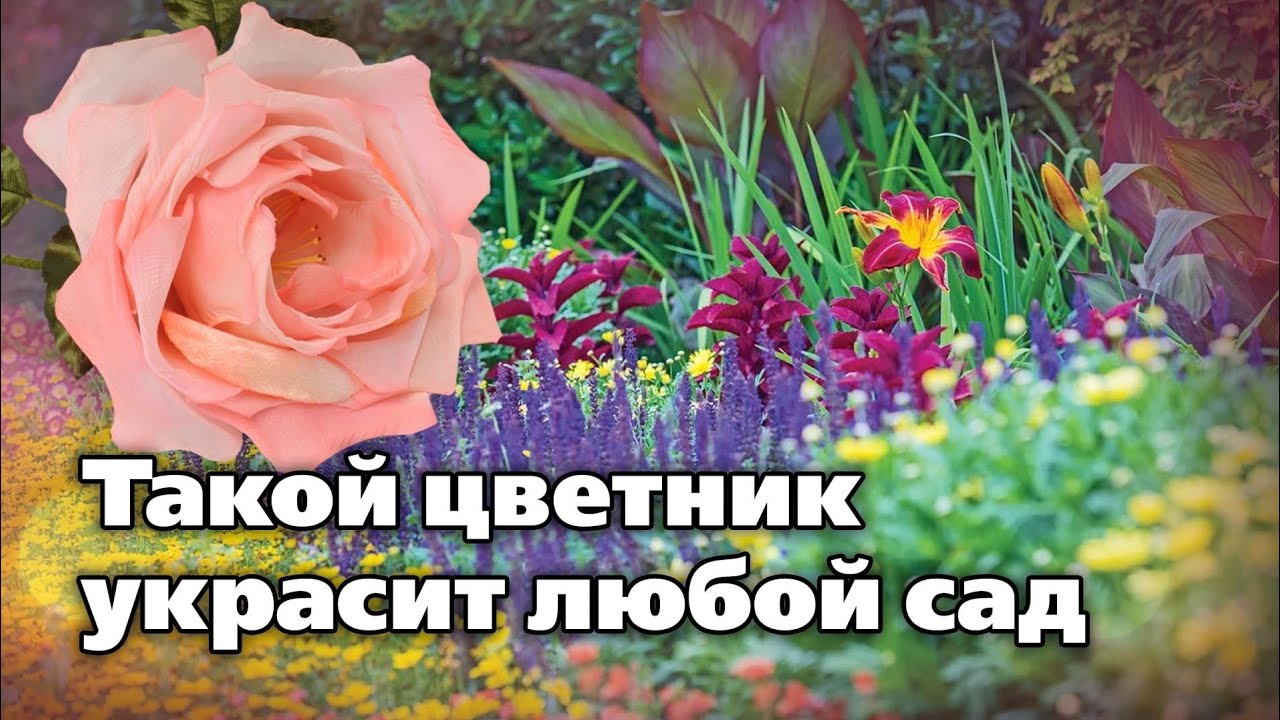 Правила создания цветников - миксбордеров. Советы ландшафтного архитектора