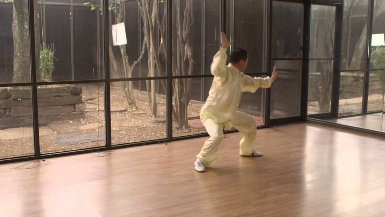 Xing Yi Quan (Chicken) - Master Wuzhong Jia
