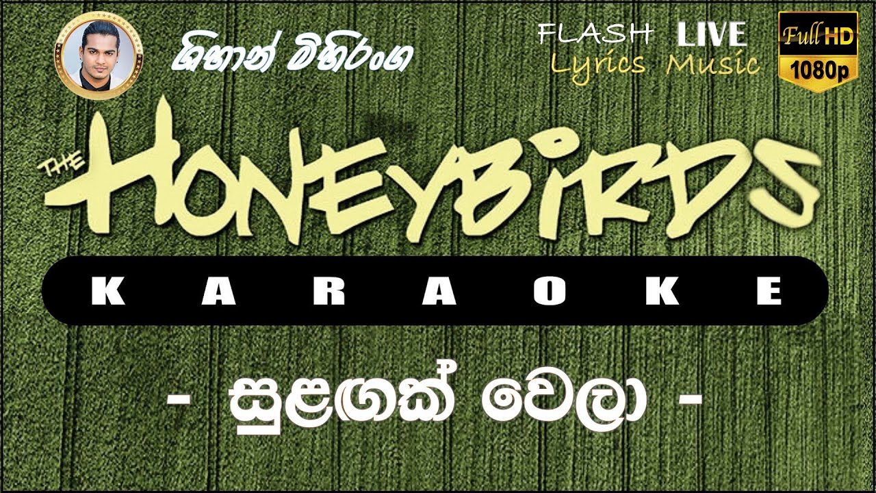 Sulagak Wela Oba Soya karaoke (Without Voice) සුළඟක් වෙලා ඔබ සොයා කැරෝකේ