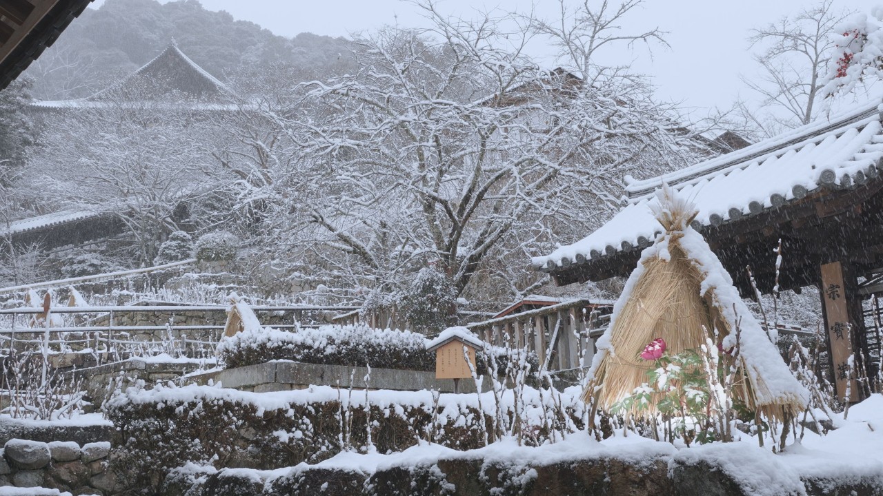 古寺雪景　雪の長谷寺