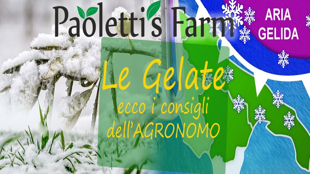 Gelate tardive: come salvare la tua produzione