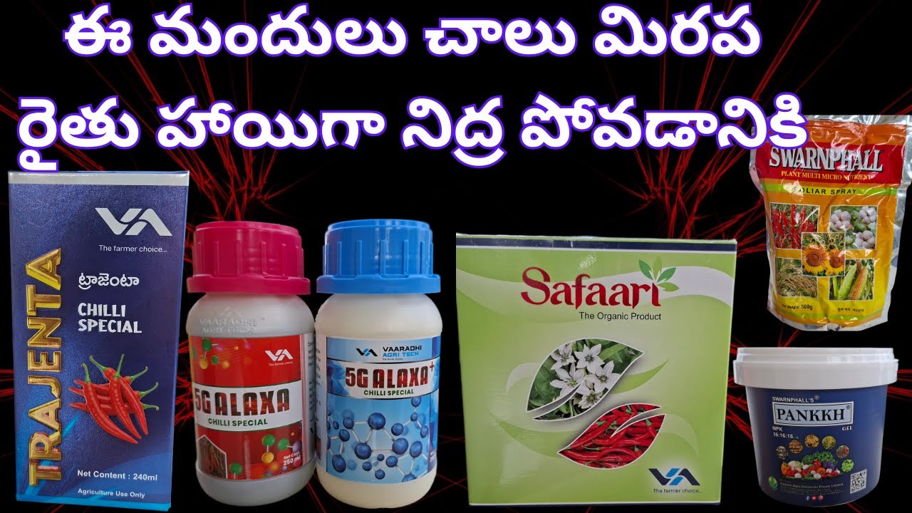 ఈ మందులు చాలు మిరప రైతు హాయిగా నిద్ర పోవడానికి #2025 #chilli #trajenta #alexa #5g #safari
