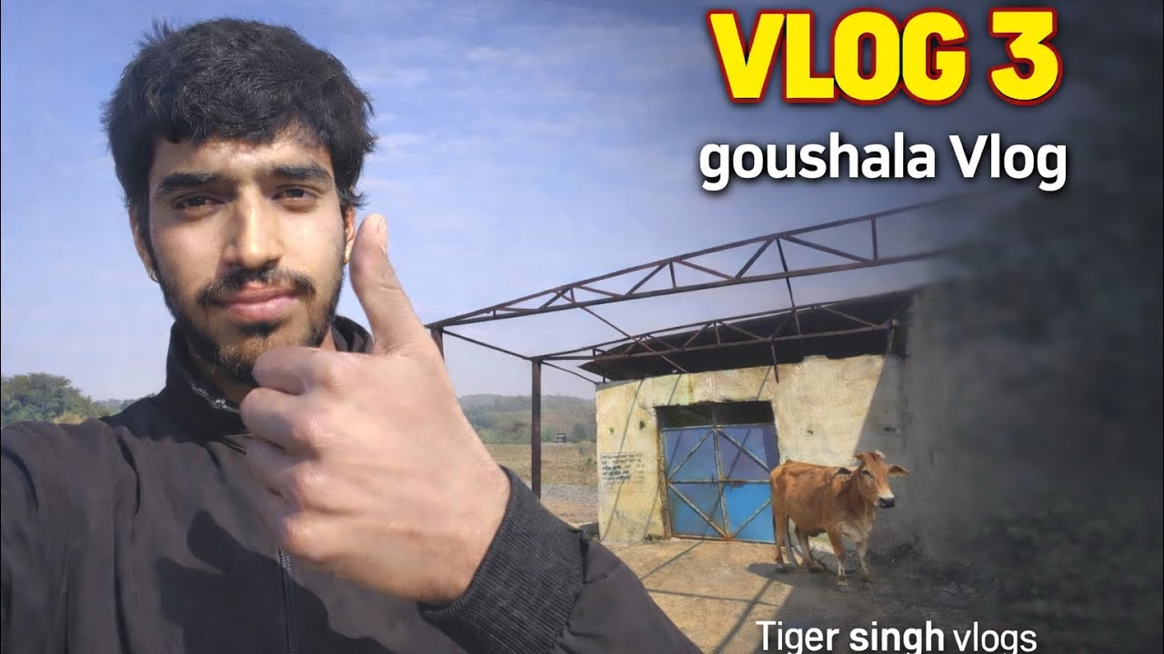 Vlog 3  goushala vlog official video #youtube #vlog #goushala 
