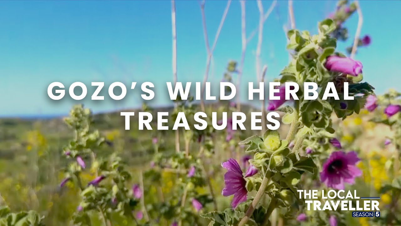 Gozo’s Wild Herbal Treasures | S5 EP: 25, part 1 | The Local Traveller with Clare Agius | Malta