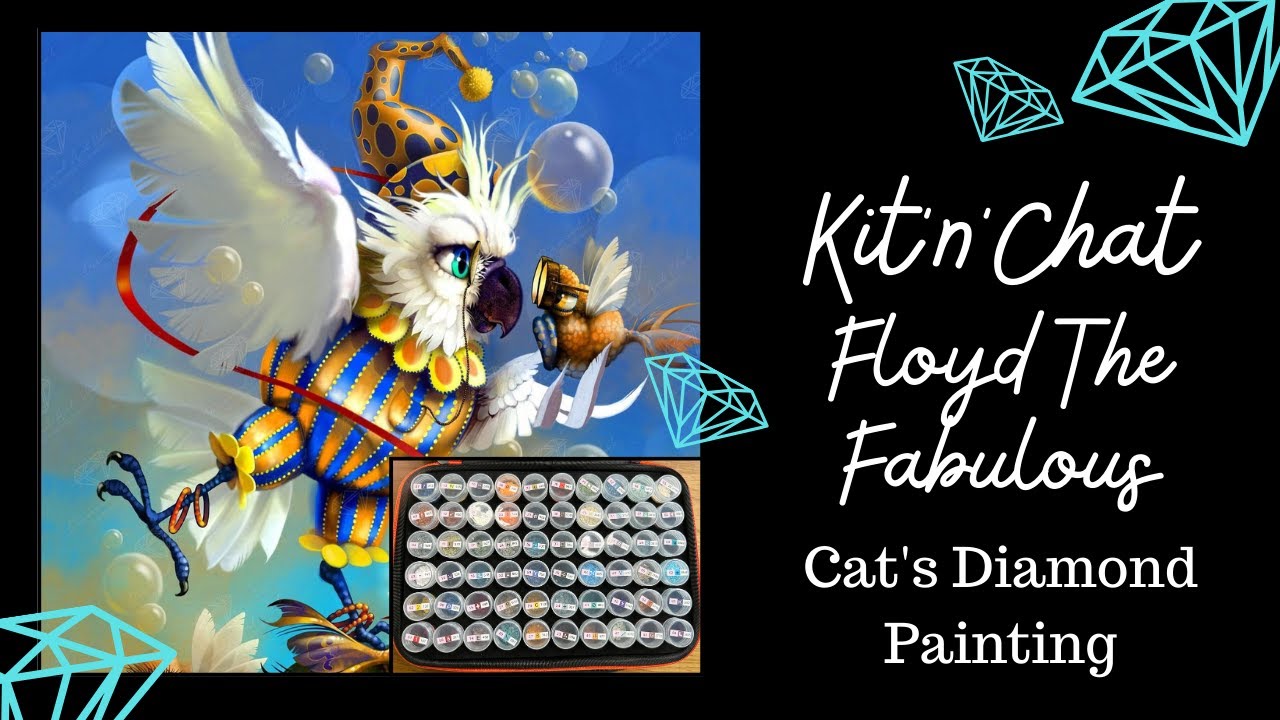 Kitting Up Floyd The Fabulous | Kit'n'Chat | A Trumpet Solo, A Gas Leak And A Spanish-Speaking Cat