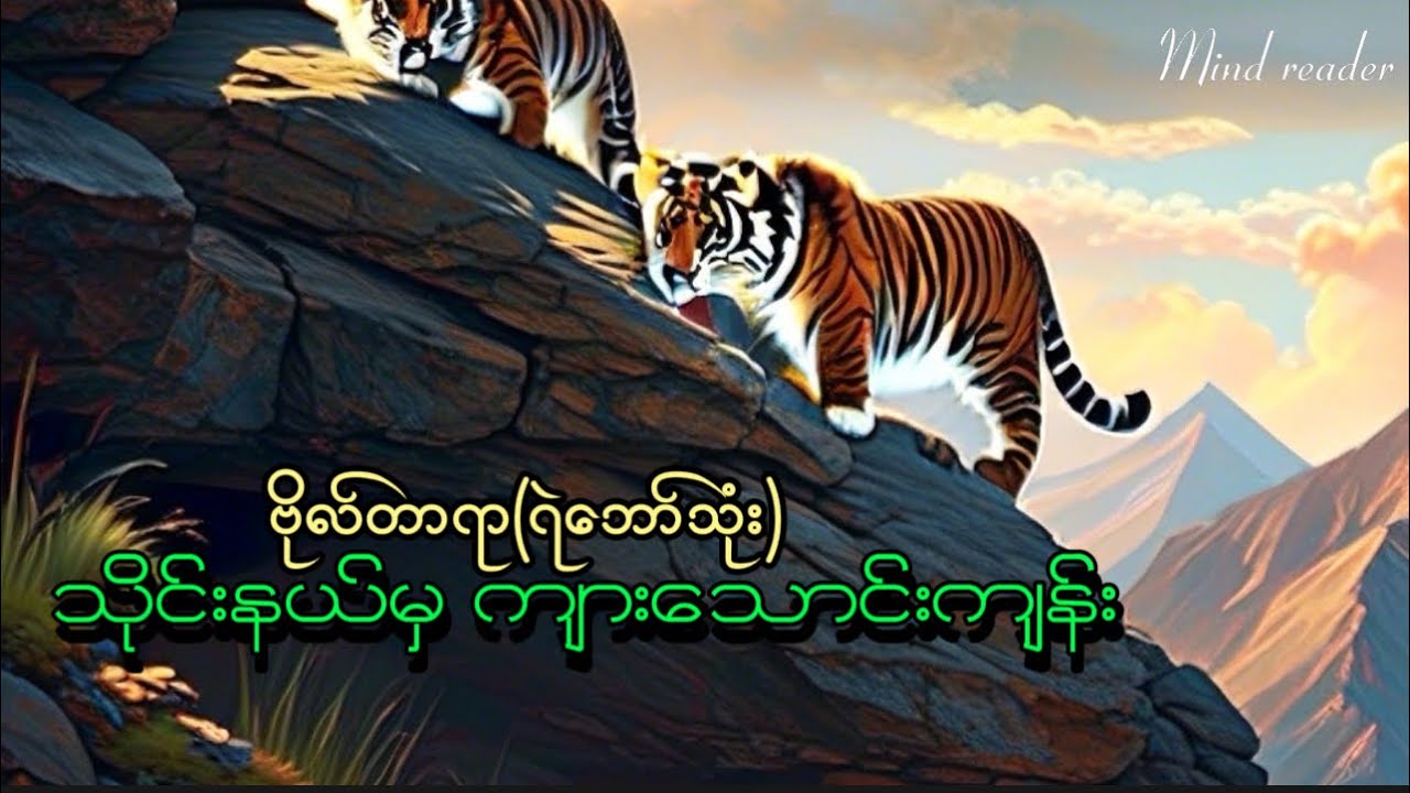 သိုင်းနယ်မှကျားသောင်းကျန်း #ဗိုလ်တာရာ(ရဲဘော်သုံးကျိပ်) #တောတွင်းမုဆိုးဇတ်လမ်း #mindreader