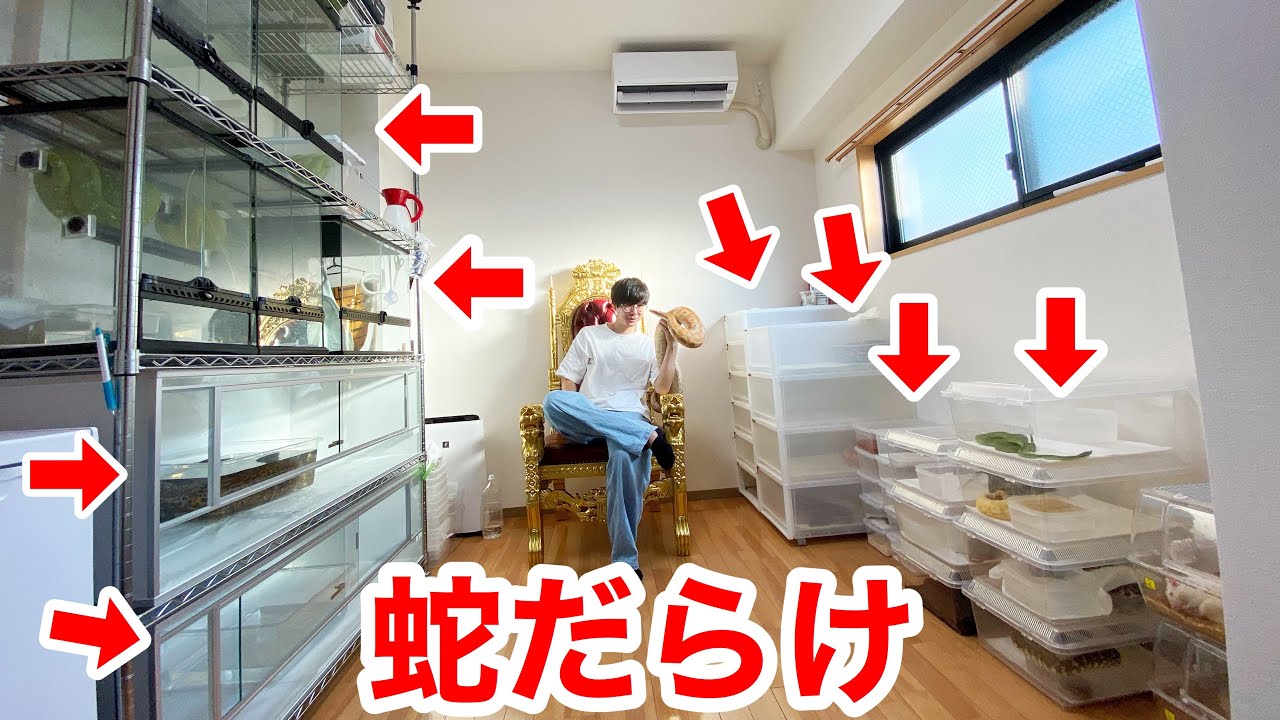 ３０匹以上のヘビを飼育する「ヘビマニア」の家が面白過ぎる・・・！