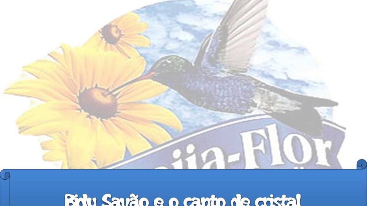 Beija Flor 1995 Ao Vivo